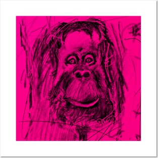 Monkey see Monkey do Posters and Art